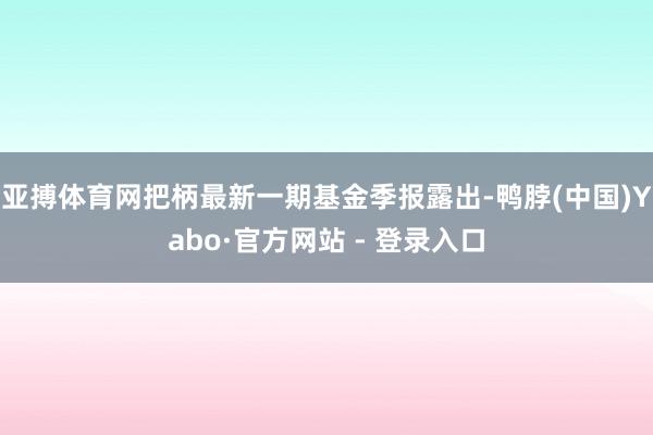 亚搏体育网把柄最新一期基金季报露出-鸭脖(中国)Yabo·官方网站 - 登录入口
