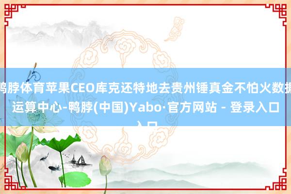 鸭脖体育苹果CEO库克还特地去贵州锤真金不怕火数据运算中心-鸭脖(中国)Yabo·官方网站 - 登录入口