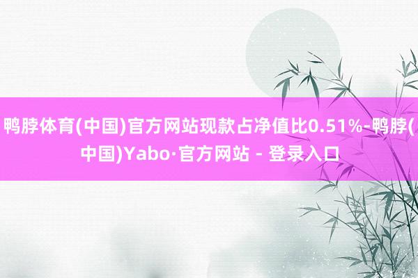 鸭脖体育(中国)官方网站现款占净值比0.51%-鸭脖(中国)Yabo·官方网站 - 登录入口