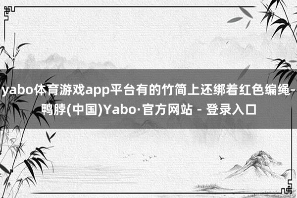 yabo体育游戏app平台有的竹简上还绑着红色编绳-鸭脖(中国)Yabo·官方网站 - 登录入口