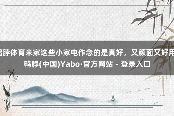 鸭脖体育米家这些小家电作念的是真好，又颜面又好用-鸭脖(中国)Yabo·官方网站 - 登录入口