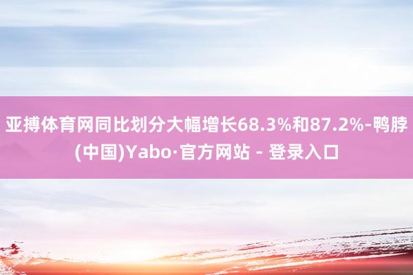 亚搏体育网同比划分大幅增长68.3%和87.2%-鸭脖(中国)Yabo·官方网站 - 登录入口