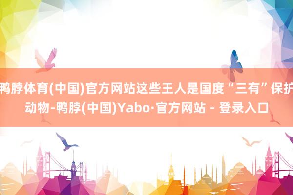 鸭脖体育(中国)官方网站这些王人是国度“三有”保护动物-鸭脖(中国)Yabo·官方网站 - 登录入口