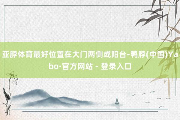 亚脖体育最好位置在大门两侧或阳台-鸭脖(中国)Yabo·官方网站 - 登录入口