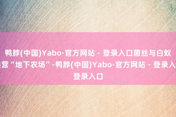 鸭脖(中国)Yabo·官方网站 - 登录入口菌丝与白蚁共营“地下农场”-鸭脖(中国)Yabo·官方网站 - 登录入口