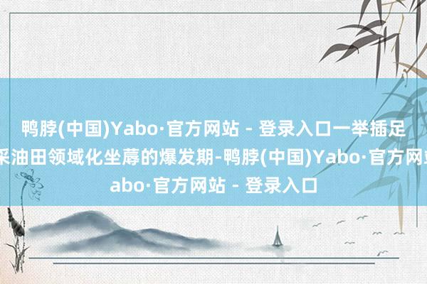 鸭脖(中国)Yabo·官方网站 - 登录入口一举插足了10余个热采油田领域化坐蓐的爆发期-鸭脖(中国)Yabo·官方网站 - 登录入口