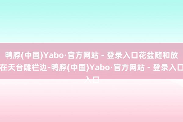 鸭脖(中国)Yabo·官方网站 - 登录入口花盆随和放在天台雕栏边-鸭脖(中国)Yabo·官方网站 - 登录入口