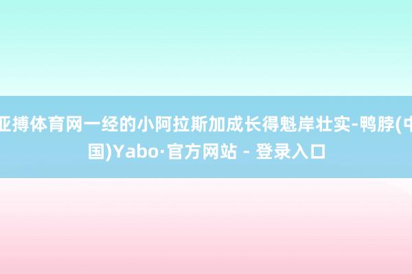 亚搏体育网一经的小阿拉斯加成长得魁岸壮实-鸭脖(中国)Yabo·官方网站 - 登录入口