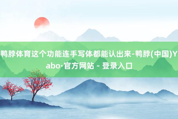 鸭脖体育这个功能连手写体都能认出来-鸭脖(中国)Yabo·官方网站 - 登录入口