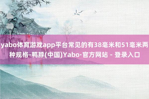 yabo体育游戏app平台常见的有38毫米和51毫米两种规格-鸭脖(中国)Yabo·官方网站 - 登录入口