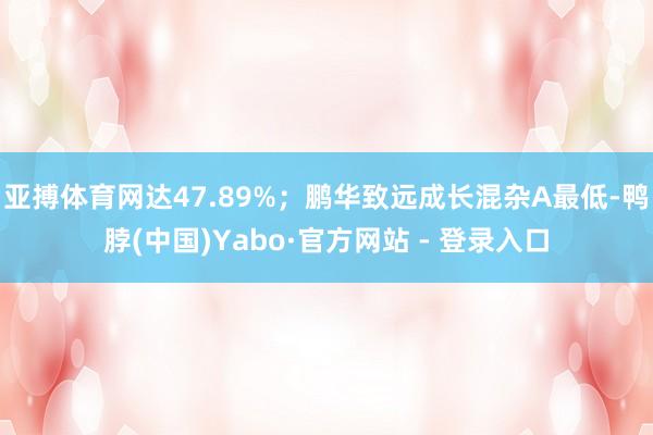 亚搏体育网达47.89%；鹏华致远成长混杂A最低-鸭脖(中国)Yabo·官方网站 - 登录入口