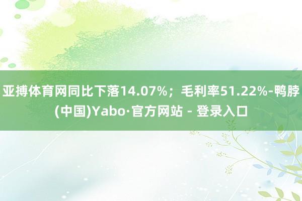 亚搏体育网同比下落14.07%；毛利率51.22%-鸭脖(中国)Yabo·官方网站 - 登录入口